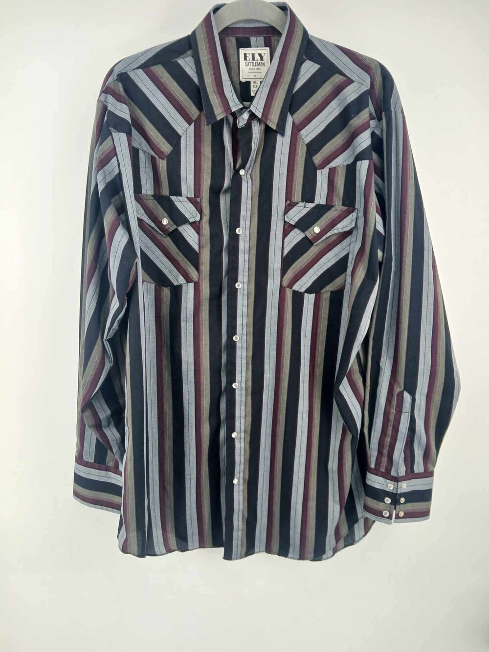 Vintage western pearl snap striped shirt